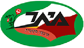 מיתר