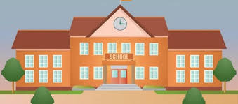 מועצות מקומיות